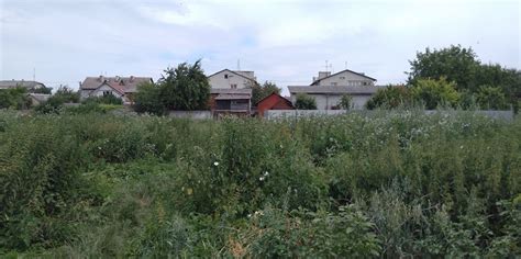Radekhiv Whore