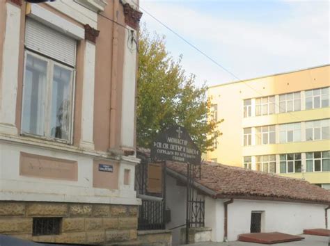 Svishtov Whore
