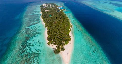 Thinadhoo Whore