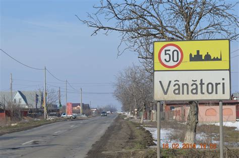 Vanatori Whore